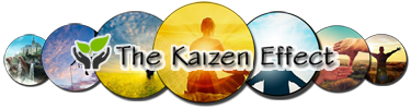 The Kaizen Effect
